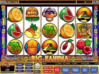 Big Kahuna Slot Screenshot